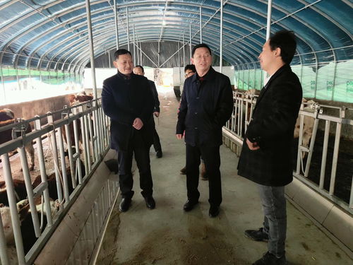 市農業農村局深入紫陽縣調研畜牧漁業高質量發展工作 聚焦飼料銷售環節強鏈補鏈