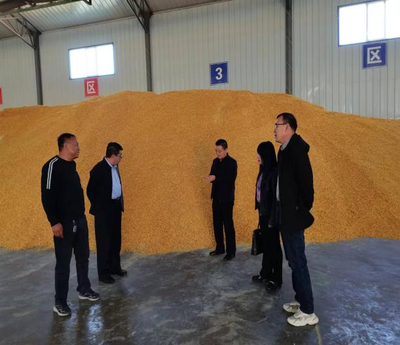 地方畜牧漁業飼料銷售現狀與前景展望