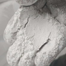 殼粉飼料價格、批發與廠家全解析 畜牧漁業飼料銷售指南