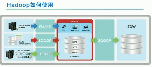 揭秘互聯(lián)網(wǎng)大數(shù)據(jù) 從雙十一狂歡看數(shù)據(jù)服務(wù)的核心引擎